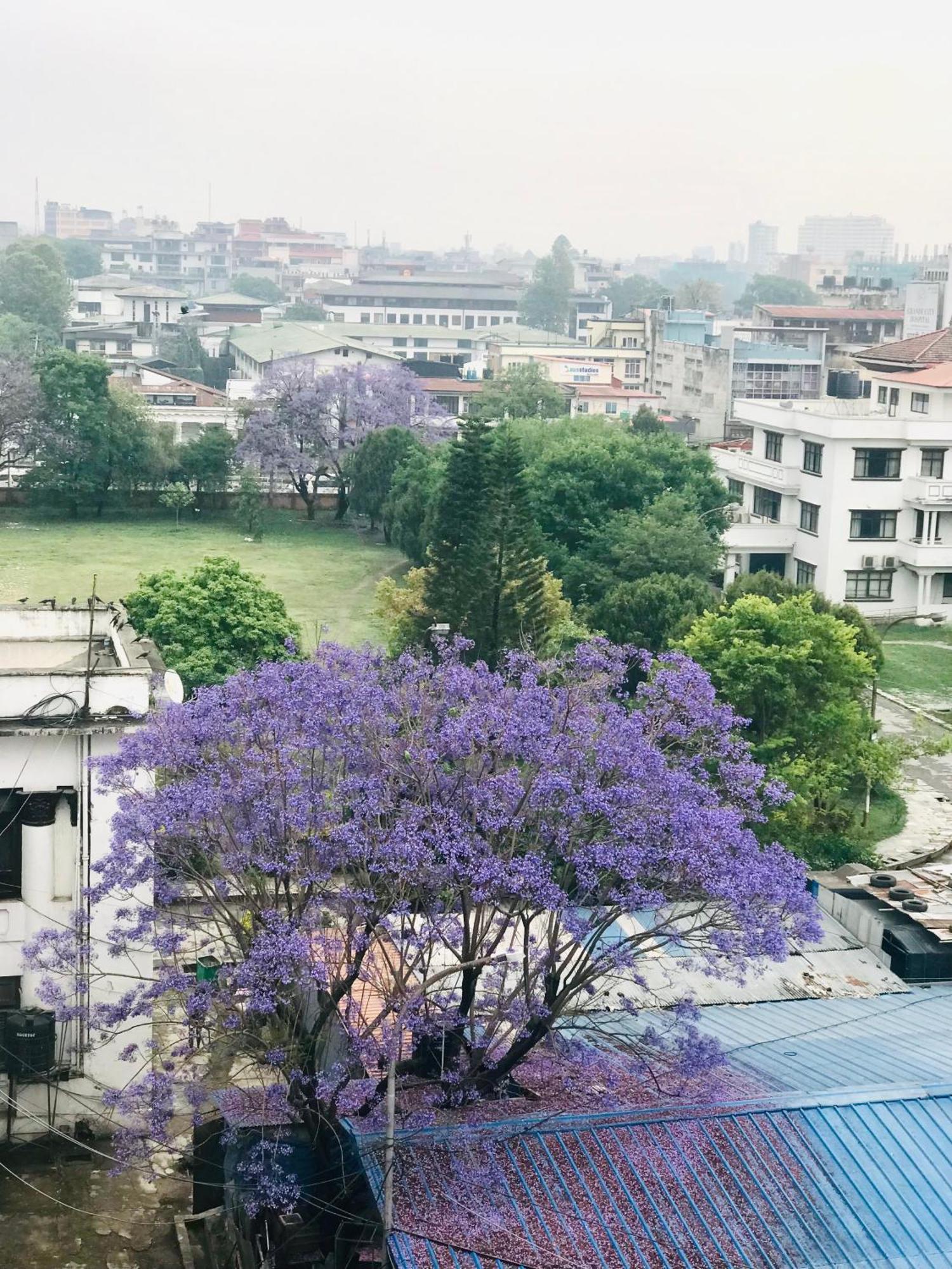 Hotel Maya Boutique And Apartment, Thamel Kathmandu Buitenkant foto